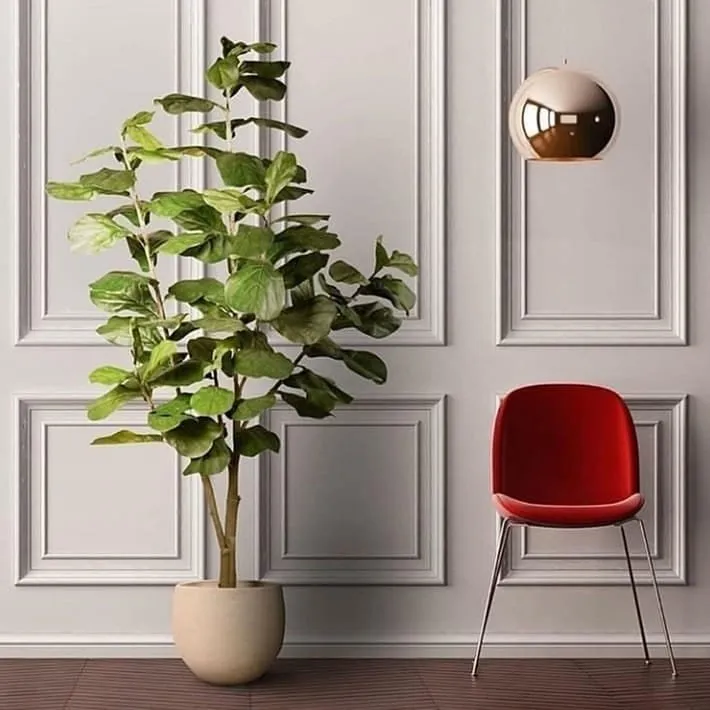 معلم فوم جدران, براويز فوم, بانوهات في حي الندي بالرياض 